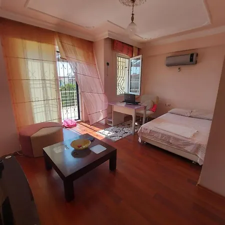 Orhan Villası Villa *